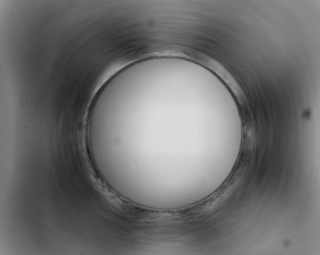 X0000103271002200808291103