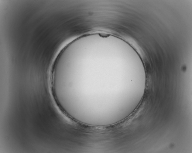 X0000103271003200808291103