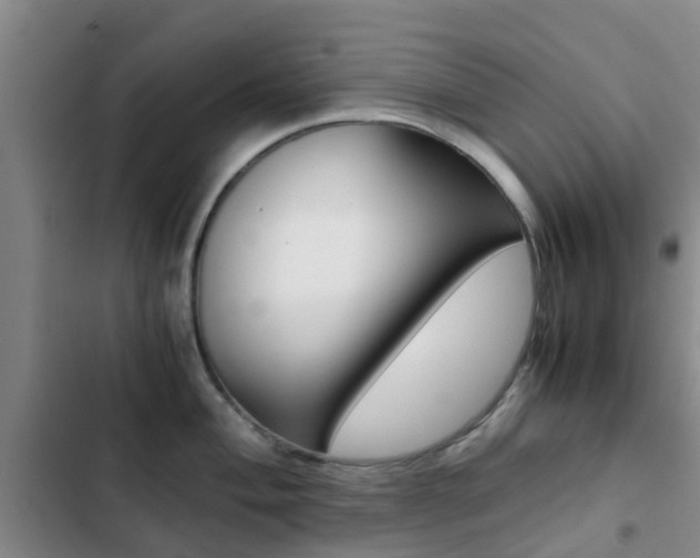 X0000103271004200808291103