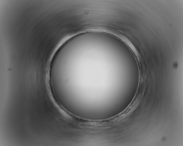 X0000103271005200808291103
