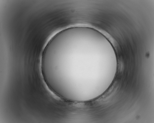 X0000103271006200808291103