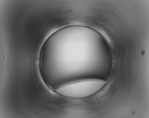 X0000103271007200808291103