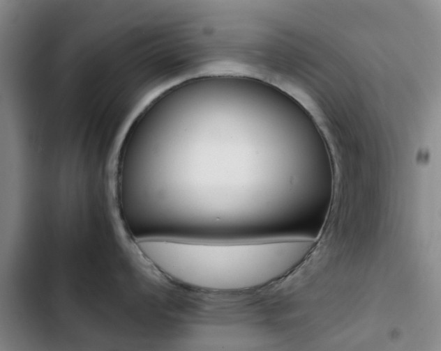 X0000103271008200808291103