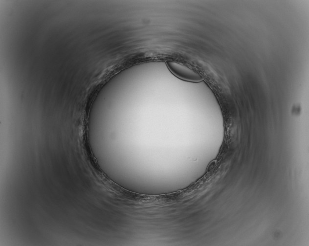 X0000103271012200808291102