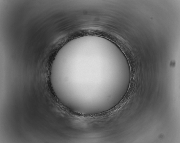 X0000103271014200808291102
