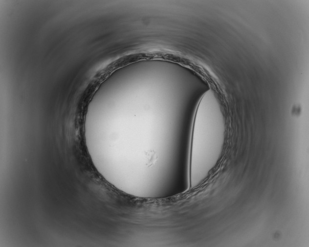 X0000103271016200808291102