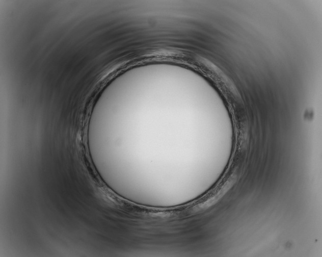 X0000103271017200808291102