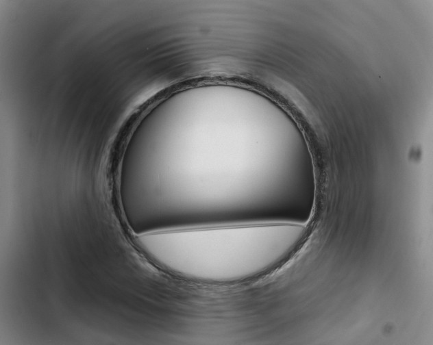 X0000103271018200808291102