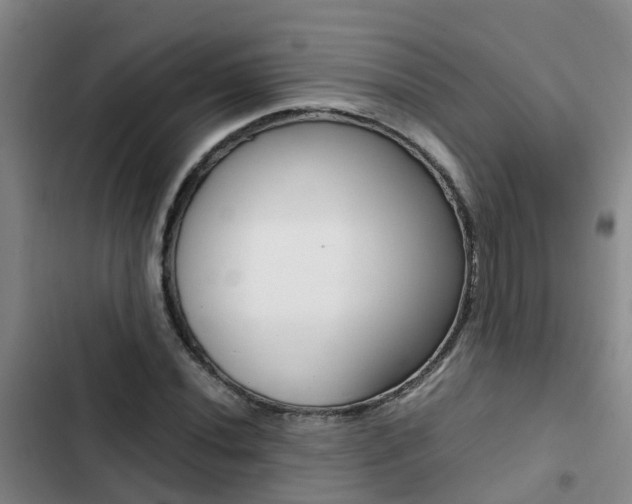X0000103271020200808291102