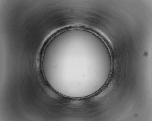 X0000103271021200808291102