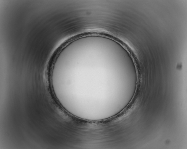 X0000103271022200808291102