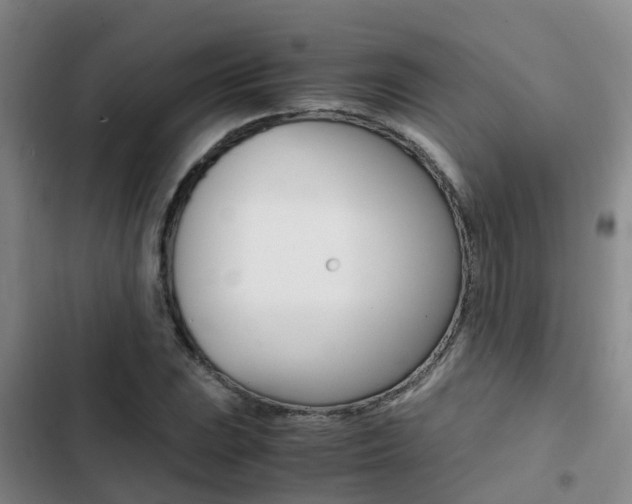 X0000103271023200808291102