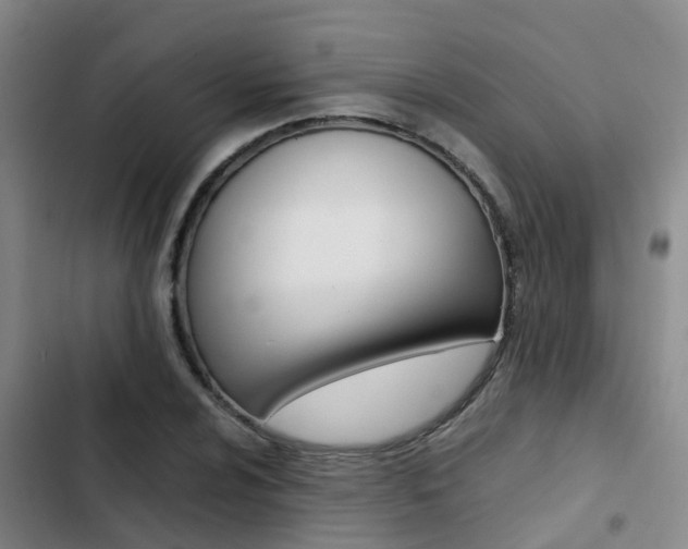 X0000103271024200808291102