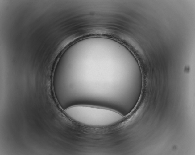 X0000103271025200808291102
