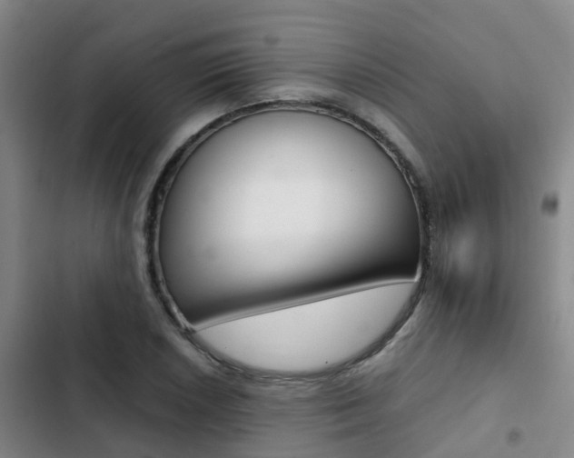 X0000103271026200808291102