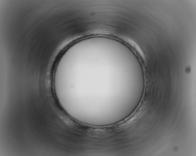 X0000103271027200808291102