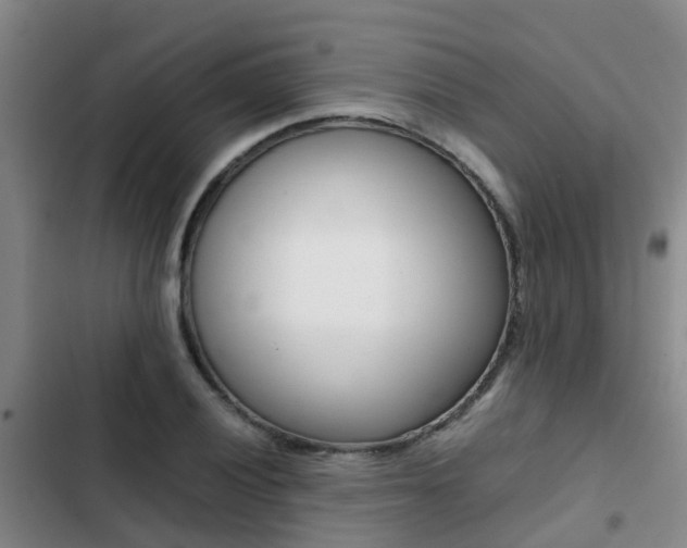 X0000103271028200808291102