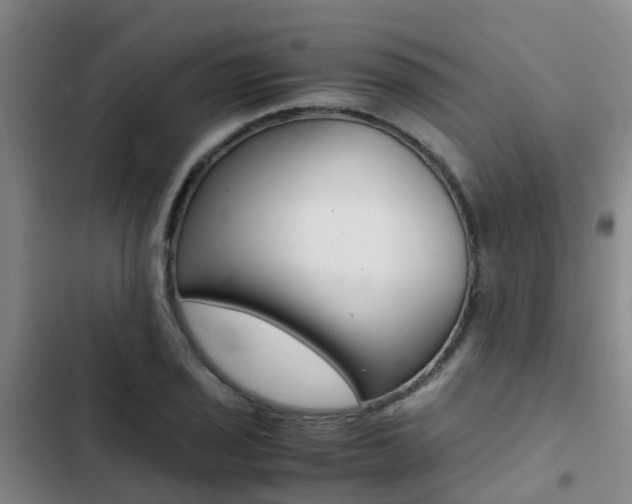 X0000103271029200808291102