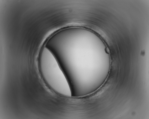 X0000103271030200808291102