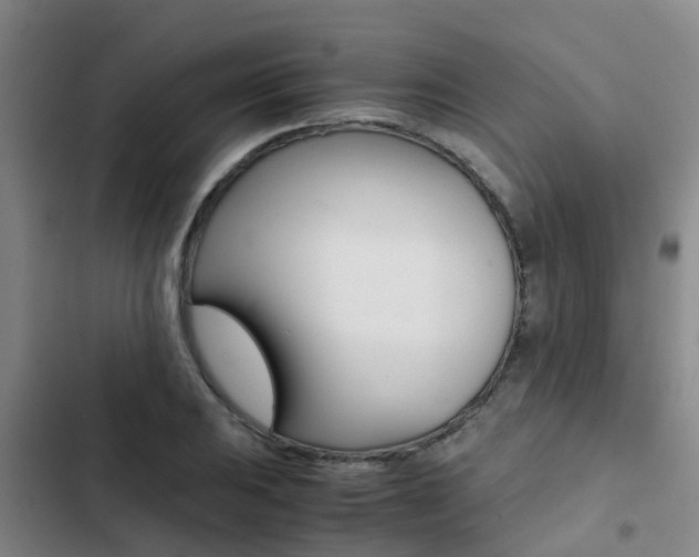 X0000103271031200808291102