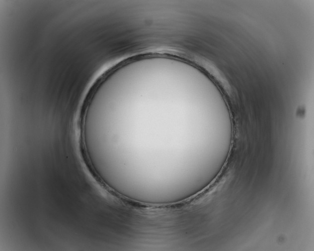 X0000103271032200808291102