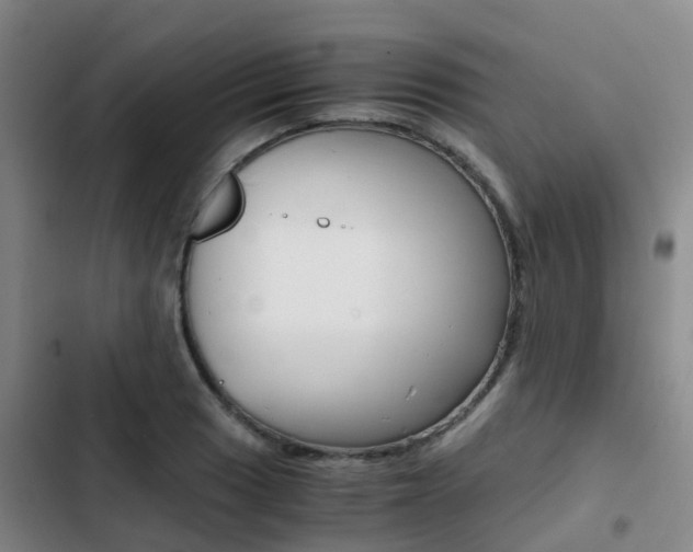 X0000103271033200808291102