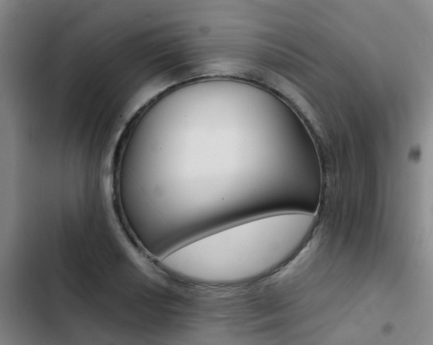 X0000103271034200808291102