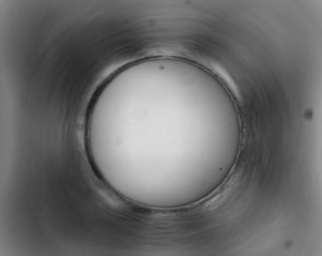 X0000103271035200808291102