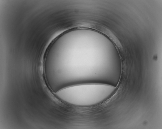 X0000103271036200808291102