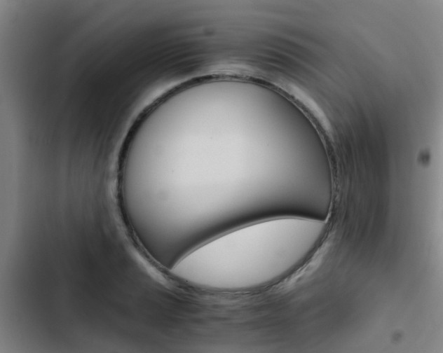 X0000103271037200808291102