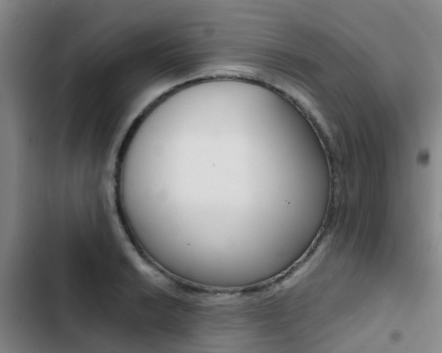 X0000103271038200808291102