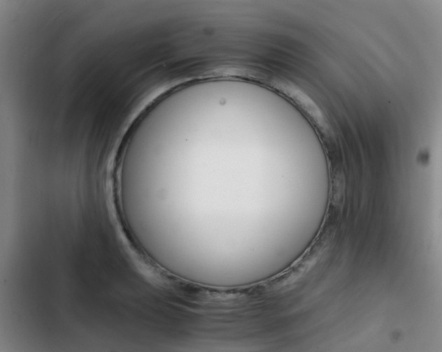 X0000103271039200808291102