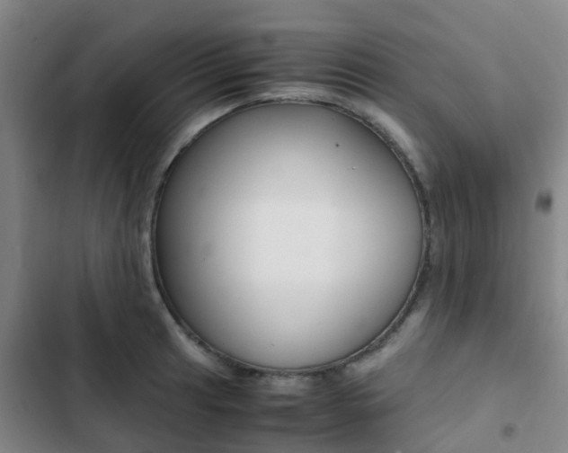 X0000103271041200808291102