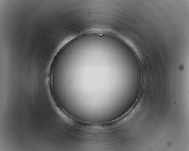 X0000103271042200808291102