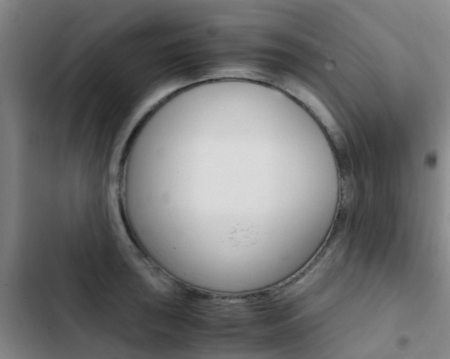 X0000103271043200808291102