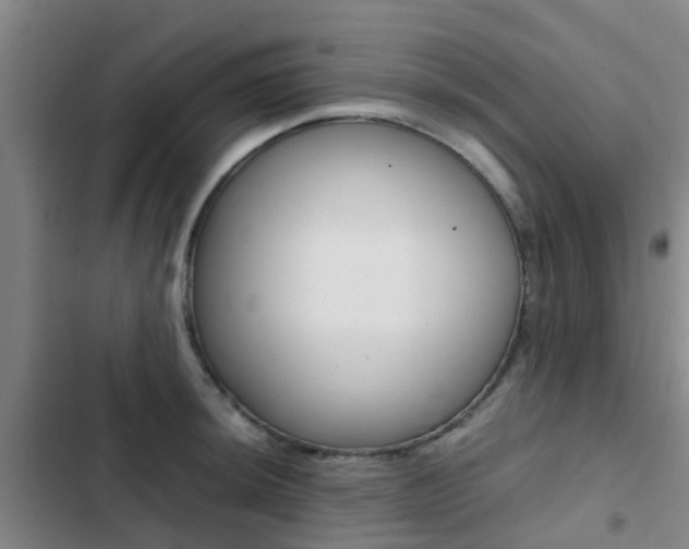 X0000103271044200808291102
