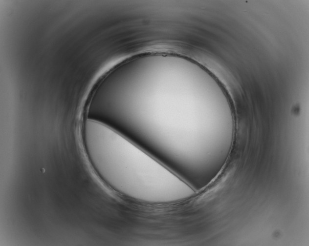 X0000103271045200808291102