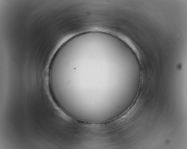 X0000103271048200808291102