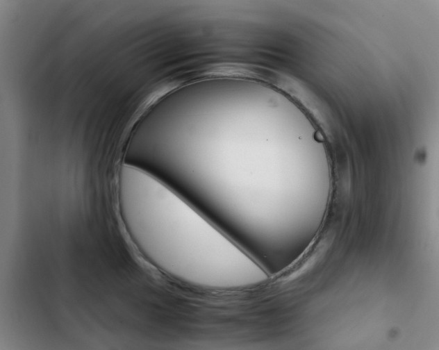 X0000103271049200808291102