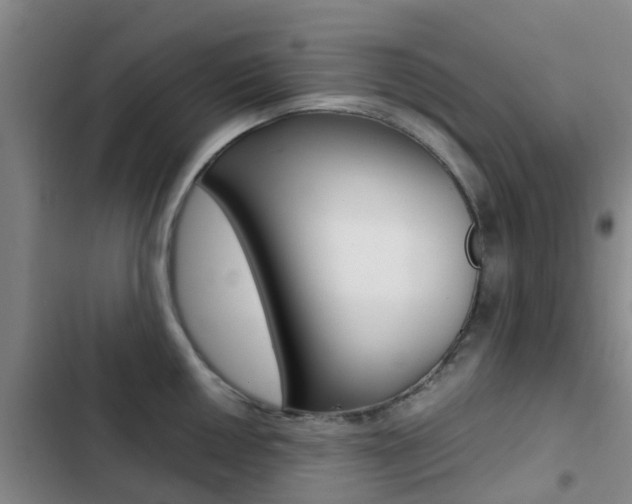 X0000103271050200808291102