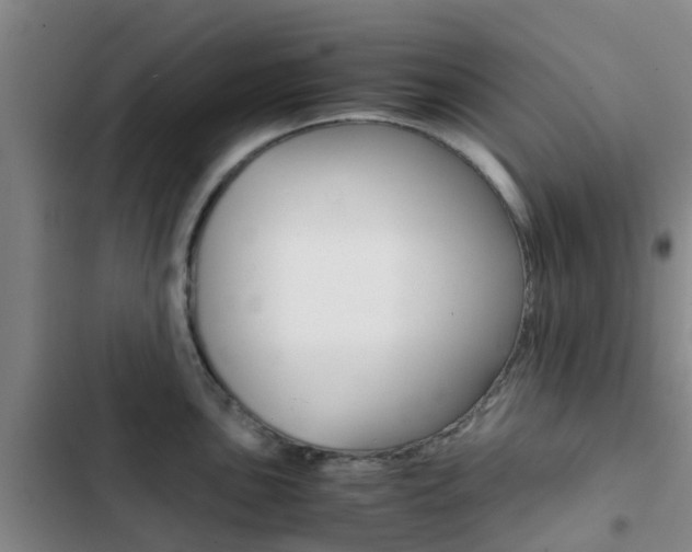 X0000103271051200808291102