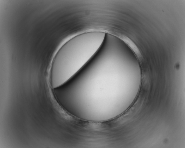 X0000103271052200808291102