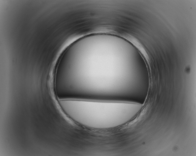 X0000103271053200808291102