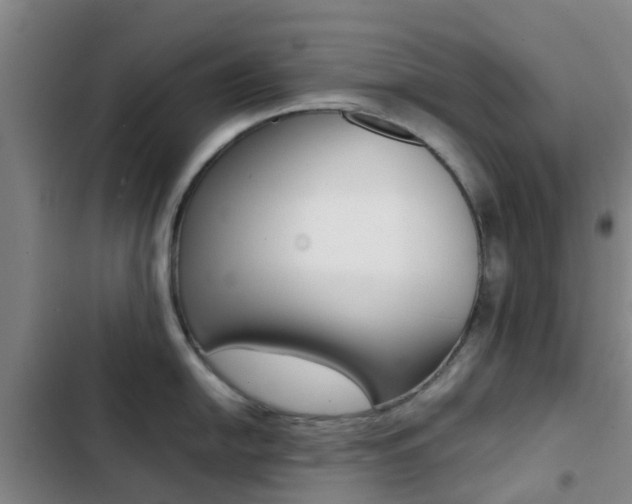 X0000103271054200808291102