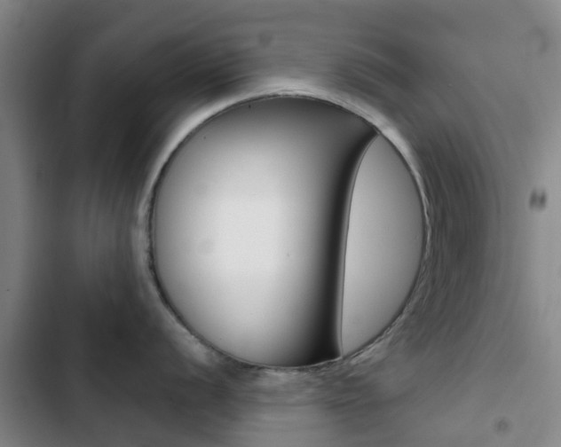 X0000103271056200808291102