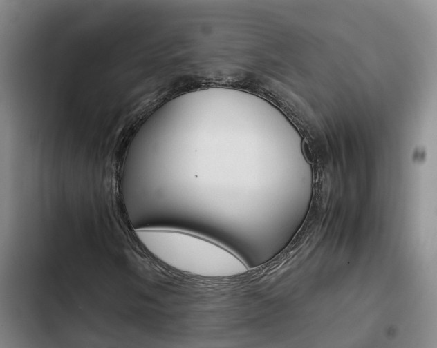 X0000103271058200808291102