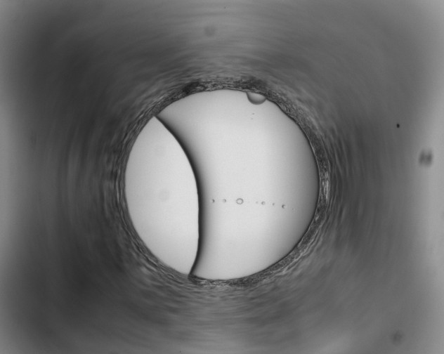 X0000103271059200808291102