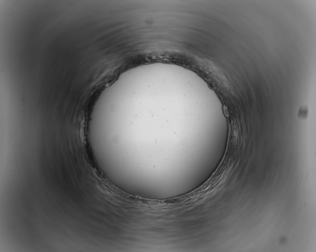 X0000103271060200808291102