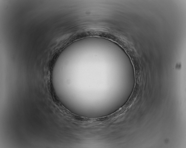 X0000103271061200808291102