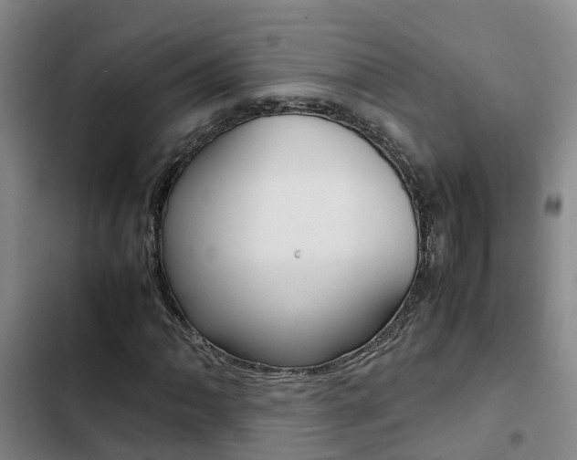 X0000103271062200808291102